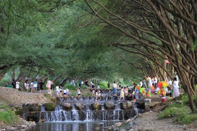 “美丽中国之旅·2025优秀文旅品牌推广大会”在渝成功举办（二）