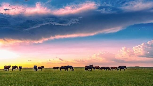 “美丽中国之旅·2025优秀文旅品牌推广大会”在渝成功举办（一）