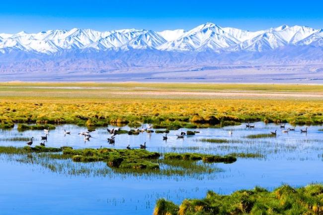 “美丽中国之旅·2025优秀文旅品牌推广大会”在渝成功举办（一）