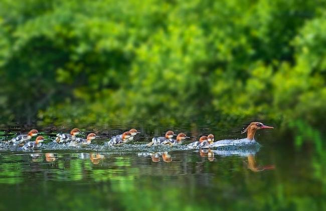 “美丽中国之旅·2025优秀文旅品牌推广大会”在渝成功举办（一）