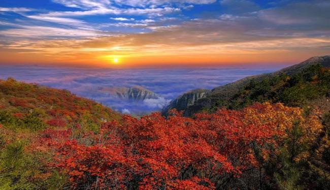 “美丽中国之旅·2025优秀文旅品牌推广大会”在渝成功举办（一）