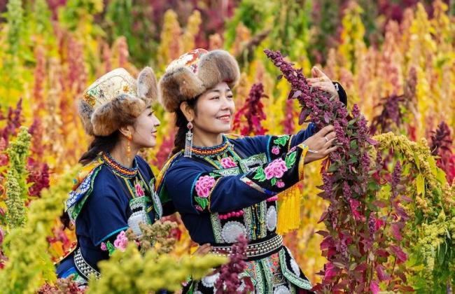 “美丽中国之旅·2025优秀文旅品牌推广大会”在渝成功举办（一）