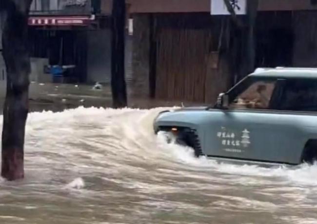 警方通报男子台风天当街开车冲浪 涉事司机被行拘10日