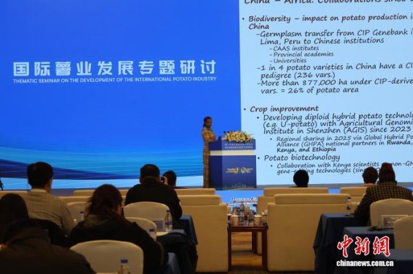 七星配资  26国代表齐聚山东潍坊 共话薯业高质量发展与全球粮食安全